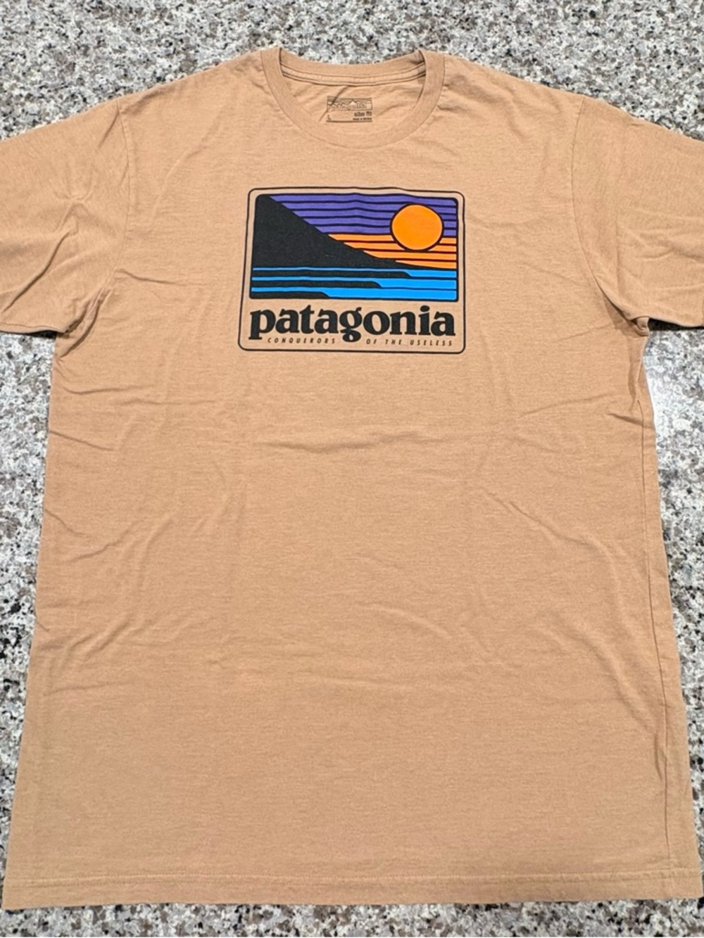 Patagonia Shirt
